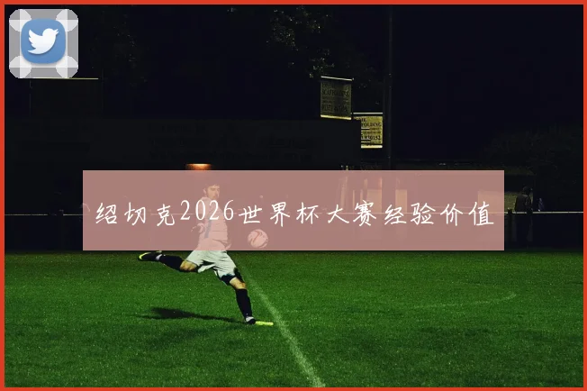 绍切克2026世界杯大赛经验价值