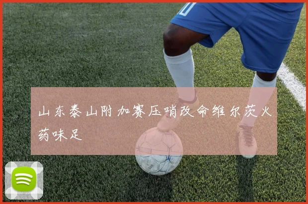 山东泰山附加赛压哨改命维尔茨火药味足