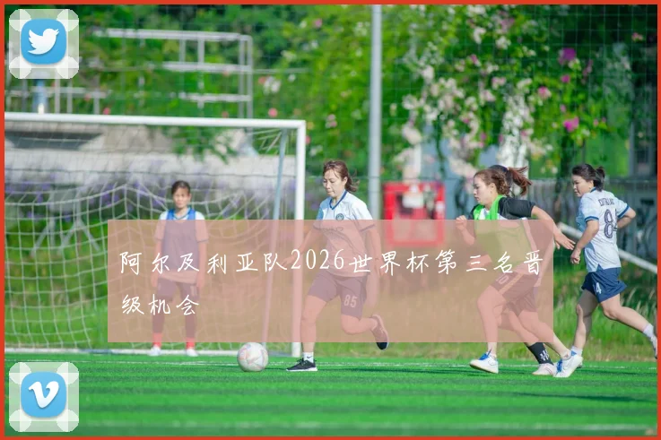 阿尔及利亚队2026世界杯第三名晋级机会