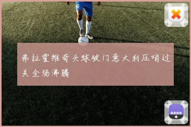 弗拉霍维奇头球破门意大利压哨过关全场沸腾