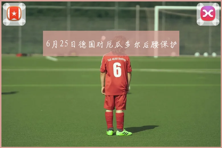6月25日德国对厄瓜多尔后腰保护