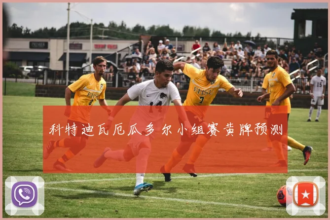 科特迪瓦厄瓜多尔小组赛黄牌预测