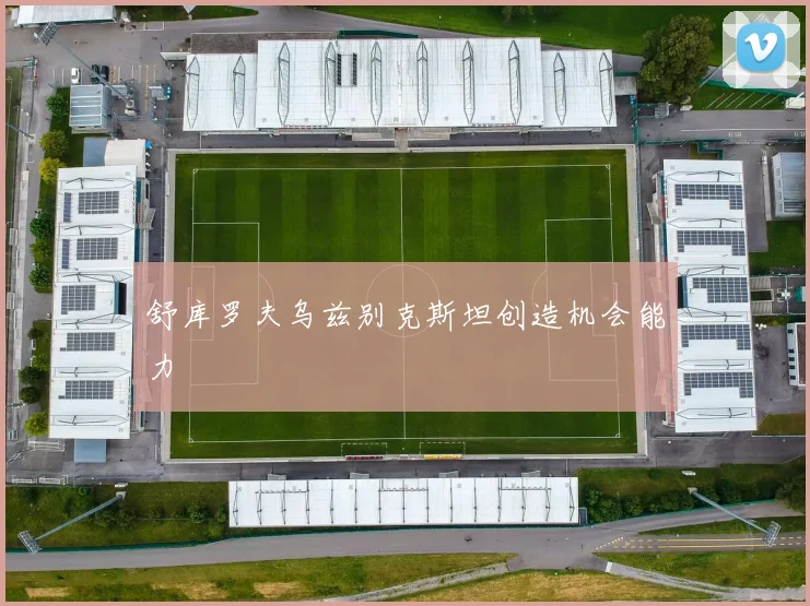 舒库罗夫乌兹别克斯坦创造机会能力